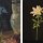 Reinhold Zisser, Time of the Icon - One thousand shots