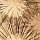 Reinhold Zisser, Time of the Icon - One thousand shots